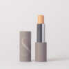 Complexion Stick