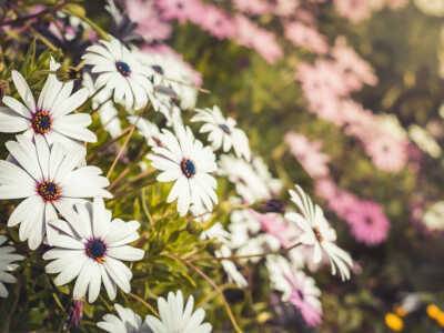 Spring Makeup Trends
